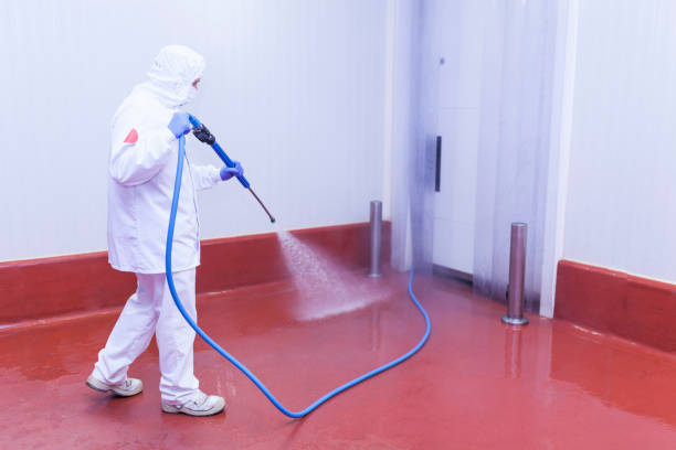 Best Pre-Holiday Cleaning  in North Patchogue, NY